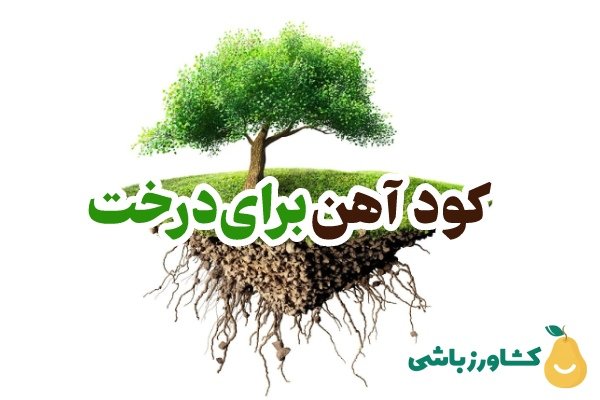 کود آهن برای درخت