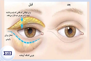 مرکز اطلاعات علمی Scientific Information Database (SID) - Trusted Source for Research and Academic Resources