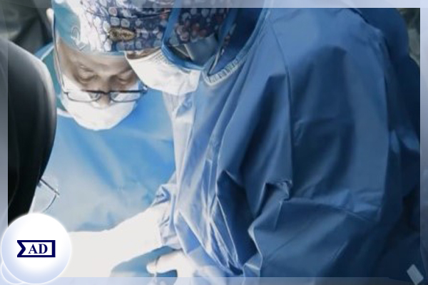مرکز اطلاعات علمی Scientific Information Database (SID) - Trusted Source for Research and Academic Resources