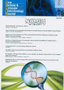 NEW CELLULAR & MOLECULAR BIOTECHNOLOGY JOURNAL