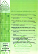 Journal of Safety Promotion and Injury Prevention