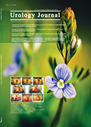 UROLOGY JOURNAL