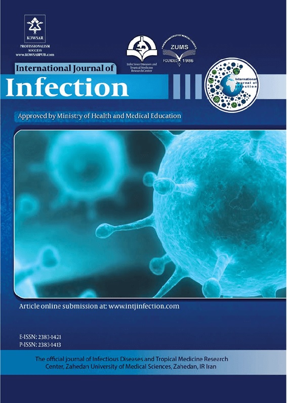 International Journal of Infection