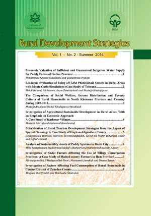 Rural Development Strategies